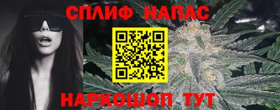 спиды Дубна