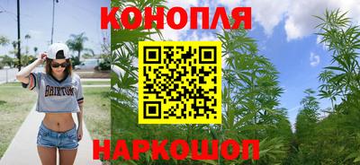 спиды Дубна